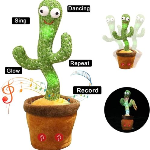 Cactalk Toy